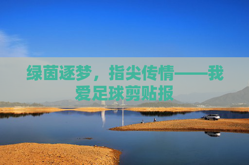 绿茵逐梦，指尖传情——我爱足球剪贴报