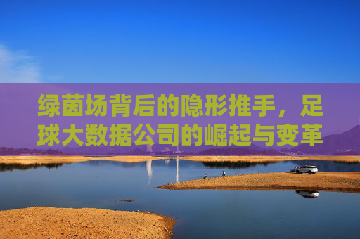 绿茵场背后的隐形推手,足球大数据公司的崛起与变革