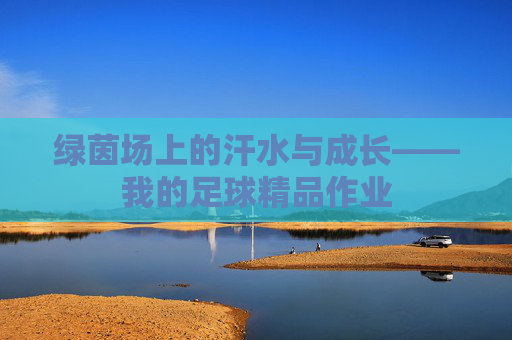 绿茵场上的汗水与成长——我的足球精品作业