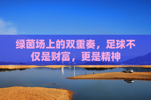 绿茵场上的双重奏,足球不仅是财富,更是精神
