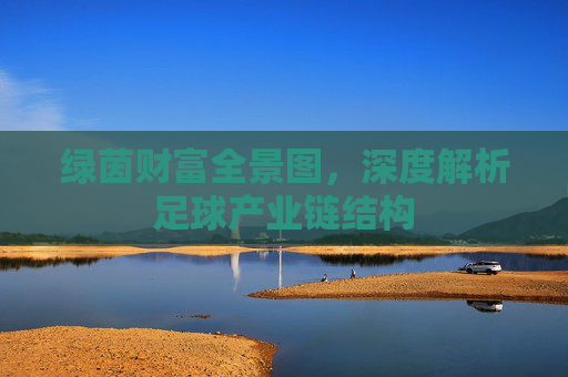 绿茵财富全景图,深度解析足球产业链结构