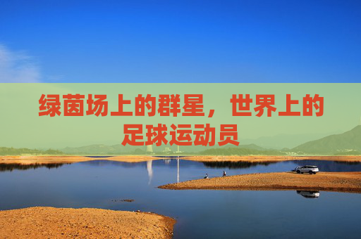 绿茵场上的群星，世界上的足球运动员