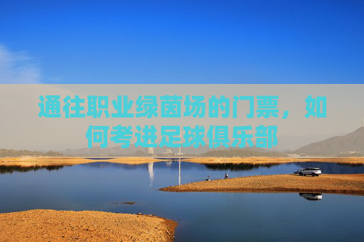 通往职业绿茵场的门票，如何考进足球俱乐部