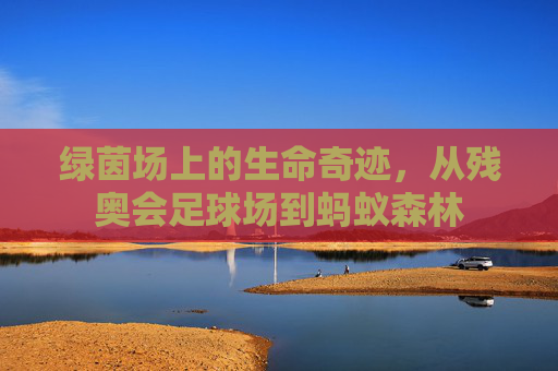 绿茵场上的生命奇迹,从残奥会足球场到蚂蚁森林