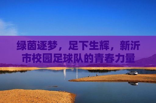 绿茵逐梦,足下生辉,新沂市校园足球队的青春力量