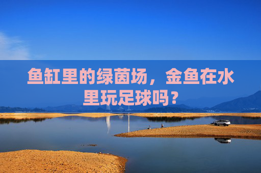 鱼缸里的绿茵场，金鱼在水里玩足球吗？