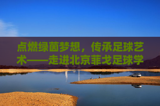 点燃绿茵梦想，传承足球艺术——走进北京菲戈足球学院