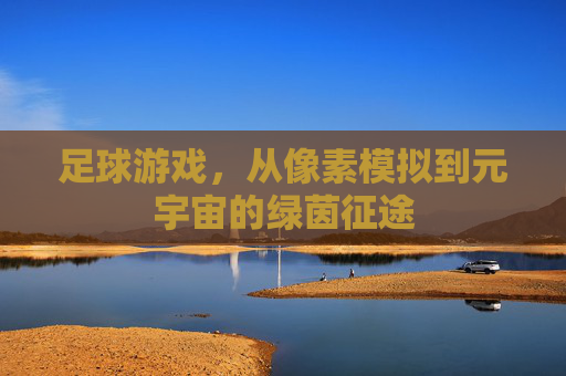足球游戏，从像素模拟到元宇宙的绿茵征途