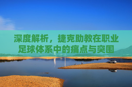深度解析，捷克助教在职业足球体系中的痛点与突围