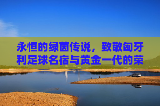 永恒的绿茵传说,致敬匈牙利足球名宿与黄金一代的荣光