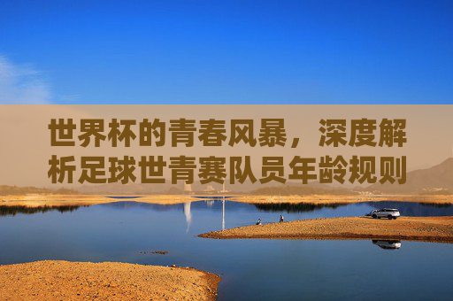 世界杯的青春风暴，深度解析足球世青赛队员年龄规则与意义