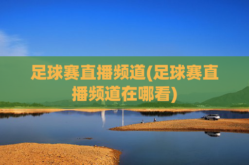 足球赛直播频道(足球赛直播频道在哪看)