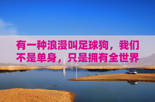 有一种浪漫叫足球狗，我们不是单身，只是拥有全世界