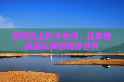 绿茵场上的小老师,探索足球教玩具的奇妙世界