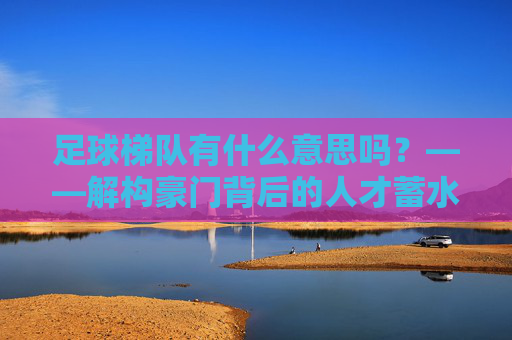 足球梯队有什么意思吗？——解构豪门背后的人才蓄水池