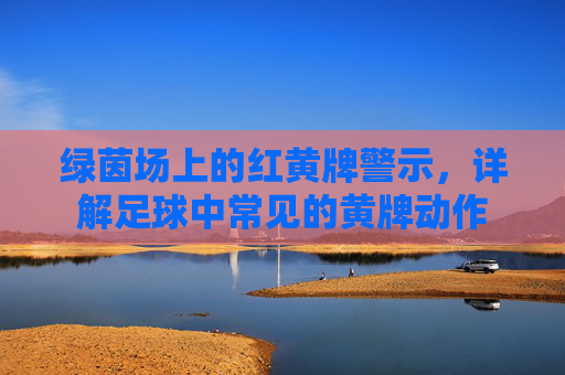 绿茵场上的红黄牌警示，详解足球中常见的黄牌动作