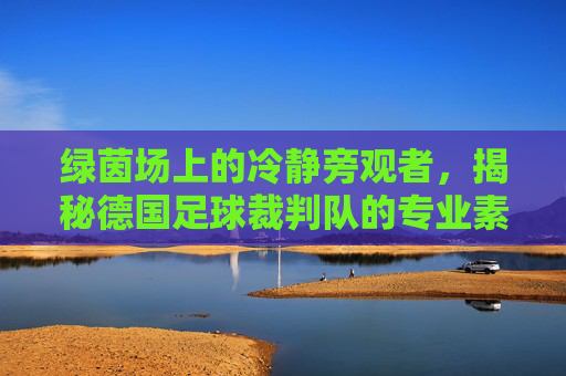 绿茵场上的冷静旁观者，揭秘德国足球裁判队的专业素养与执法哲学