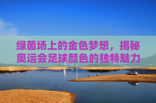 绿茵场上的金色梦想,揭秘奥运会足球颜色的独特魅力