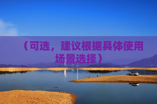 （可选，建议根据具体使用场景选择）