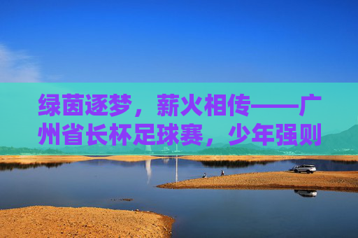 绿茵逐梦，薪火相传——广州省长杯足球赛，少年强则国强