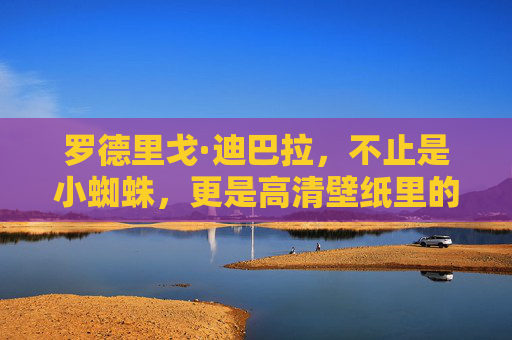 罗德里戈·迪巴拉,不止是小蜘蛛,更是高清壁纸里的意气少年