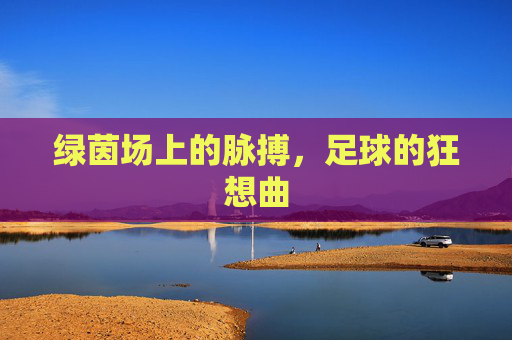 绿茵场上的脉搏，足球的狂想曲