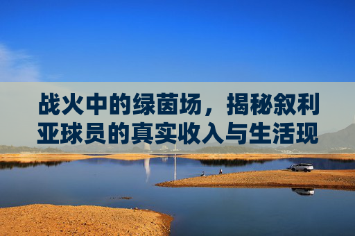 战火中的绿茵场，揭秘叙利亚球员的真实收入与生活现状