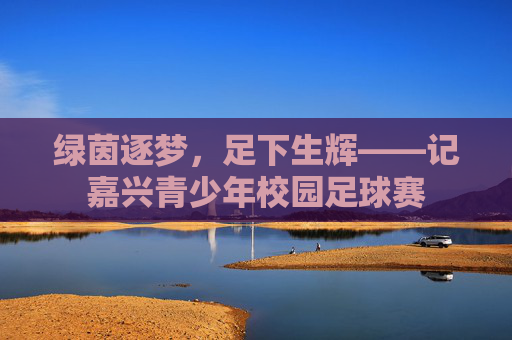 绿茵逐梦，足下生辉——记嘉兴青少年校园足球赛