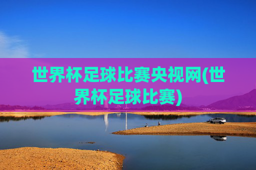 世界杯足球比赛央视网(世界杯足球比赛)
