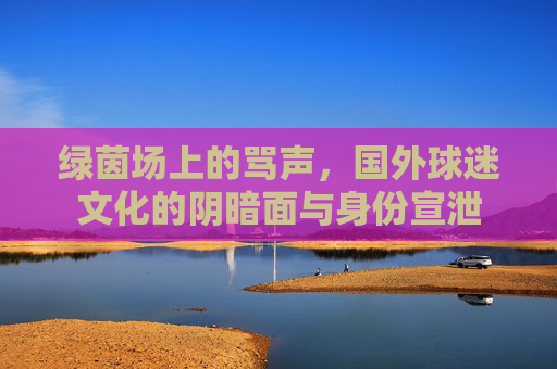 绿茵场上的骂声,国外球迷文化的阴暗面与身份宣泄