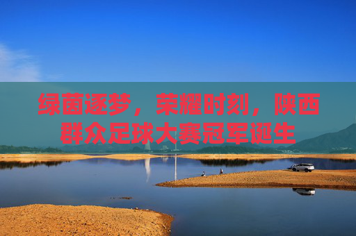 绿茵逐梦，荣耀时刻，陕西群众足球大赛冠军诞生