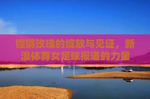 铿锵玫瑰的绽放与见证,新浪体育女足球报道的力量