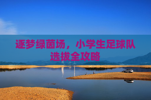 逐梦绿茵场，小学生足球队选拔全攻略