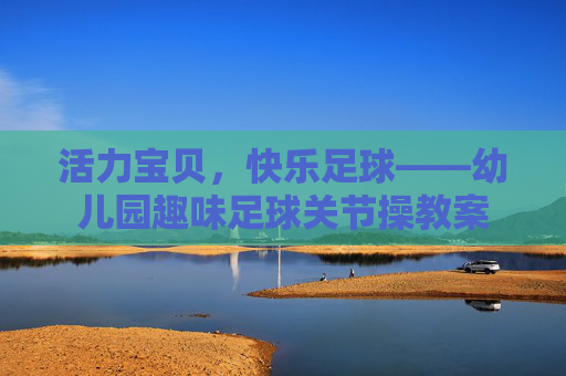 活力宝贝，快乐足球——幼儿园趣味足球关节操教案