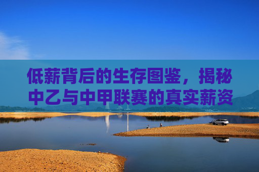 低薪背后的生存图鉴，揭秘中乙与中甲联赛的真实薪资现状