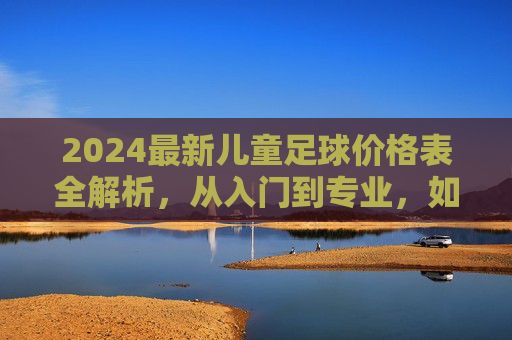 2024最新儿童足球价格表全解析，从入门到专业，如何为孩子选对装备？
