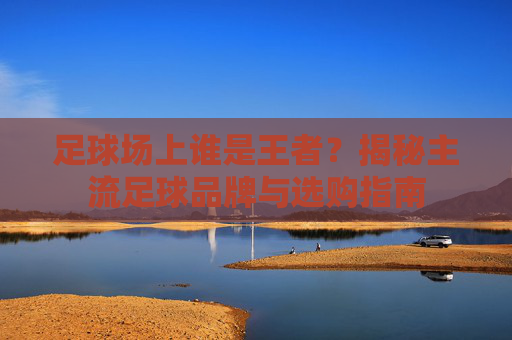 足球场上谁是王者？揭秘主流足球品牌与选购指南