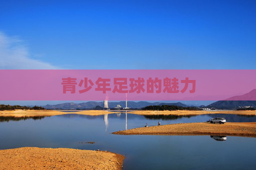 青少年足球的魅力