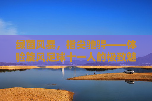 绿茵风暴，指尖驰骋——体验旋风足球十一人的极致魅力