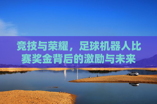 竞技与荣耀，足球机器人比赛奖金背后的激励与未来