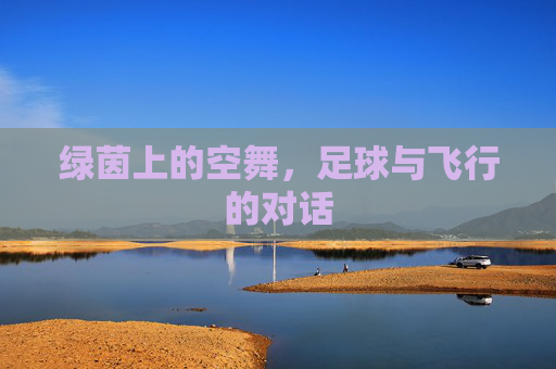 绿茵上的空舞，足球与飞行的对话