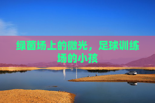 绿茵场上的微光，足球训练场的小孩