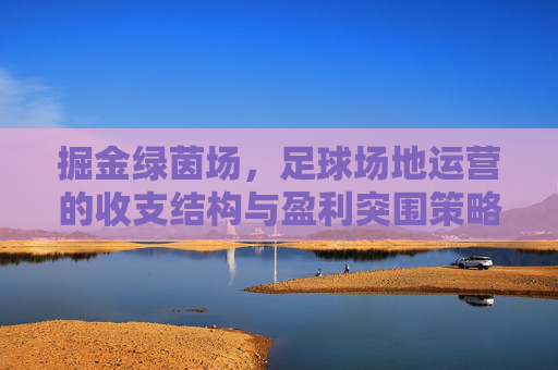 掘金绿茵场,足球场地运营的收支结构与盈利突围策略