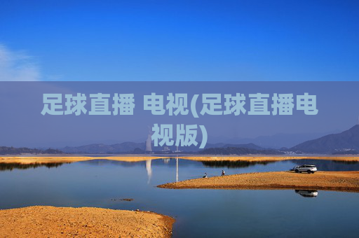 足球直播 电视(足球直播电视版)
