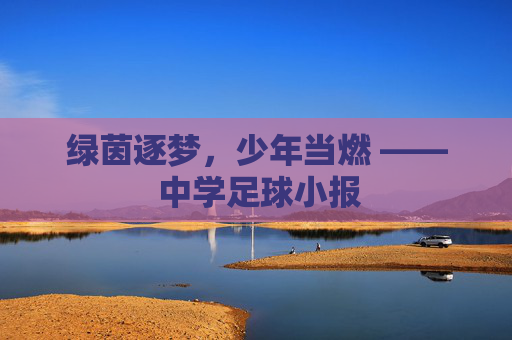绿茵逐梦，少年当燃 —— 中学足球小报
