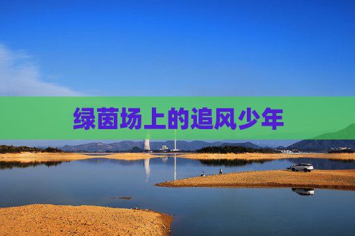 绿茵场上的追风少年
