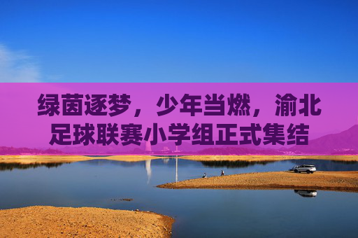 绿茵逐梦,少年当燃,渝北足球联赛小学组正式集结