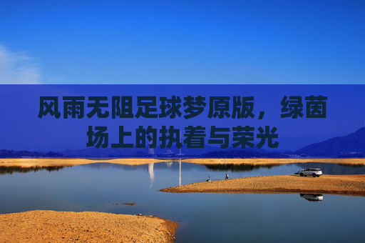风雨无阻足球梦原版,绿茵场上的执着与荣光