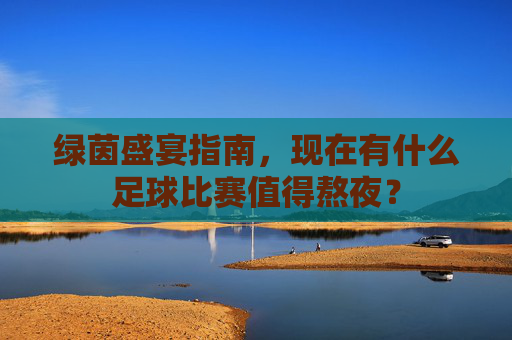 绿茵盛宴指南,现在有什么足球比赛值得熬夜?