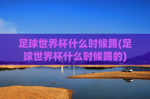 足球世界杯什么时候踢(足球世界杯什么时候踢的)